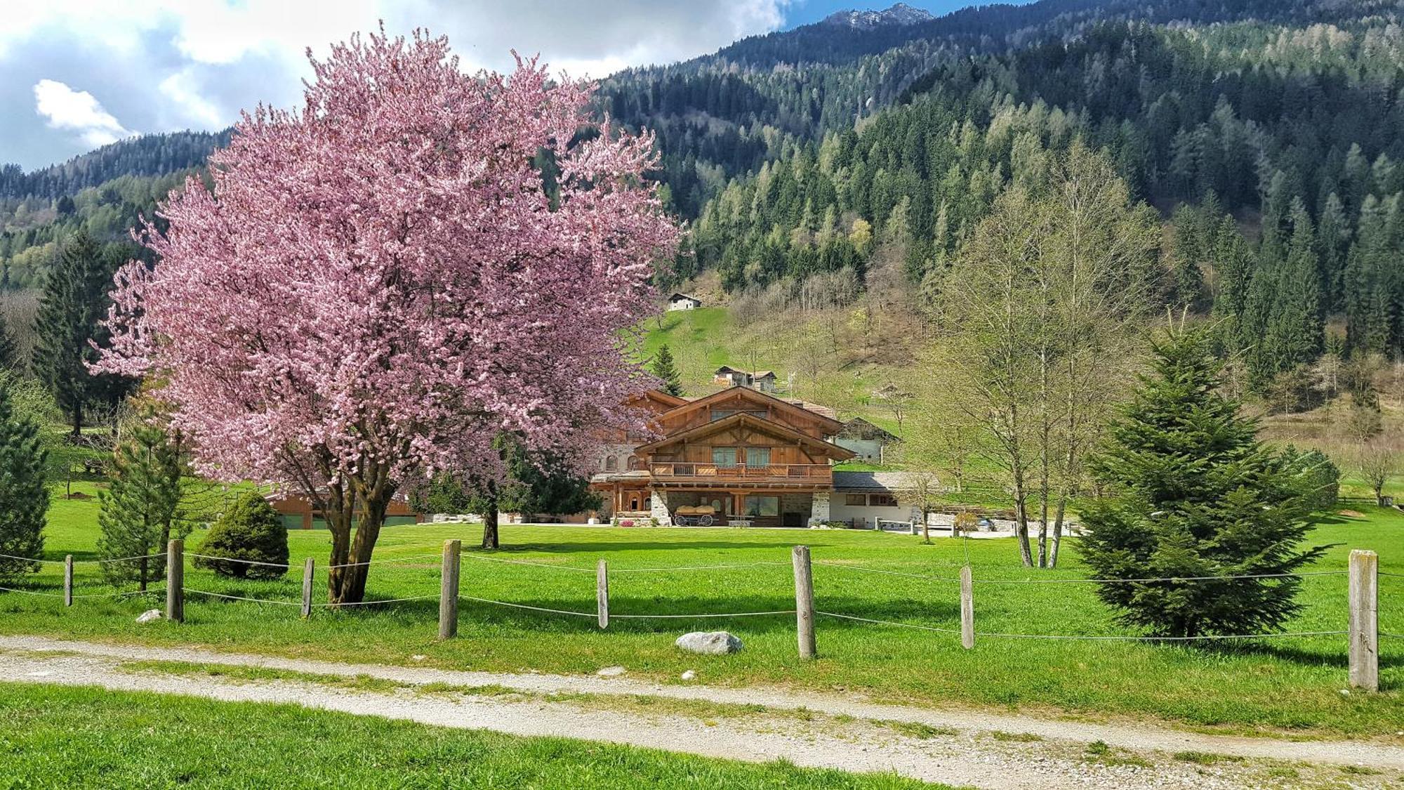 4 Hotel per Famiglie vicino a Puza dai Fo-Monte Grual